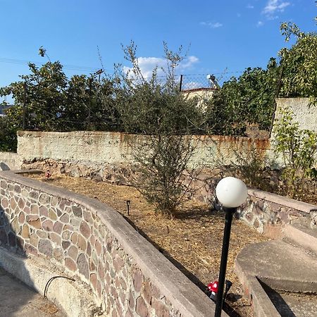 Secret Place In Lesvos 2 阿纳索斯 外观 照片